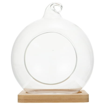 

1pc Micro Landscape DIY Glass Bottle Hanging Bottle Plant Micro Landscape Bottle