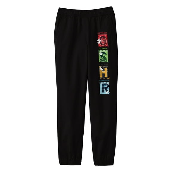 Bioworld Harry Potter Hogwarts Houses Letters Youth Black Graphic Sweatpants-Large