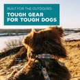 thumbnail image 2 of Wilderdog Ultralight Collar Series for Dogs - Small - Lilac, 2 of 6