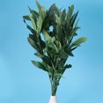 thumbnail image 4 of BRIGHTFUFU 3Ud Ramas Artificiales De Para De Flores Y Hogar En Color Verde, 4 of 7