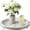 Weathered White, variant on Handmade Wooden Decorative Tray, Small Beaded Coffee Table Tray Decor, Sage Round Serving Tray for Coffee Table, Dining Room Table Entryway and Living Room Table