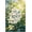 500 PCS, variant on 500 Piece He is Risen Matthew Floral Bible Puzzle for Adults – Fun Brain Challenge, Cozy Family Night, Mind Exercise and Holiday Activity for Home Decor