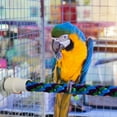 thumbnail image 4 of Flexible Bird Stand Toy Hanging Braided Bird Chew Rope Curved Bird Stand Perch Cage Toy Parrots Budgies Parakeets Training Toy, 4 of 5