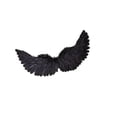 thumbnail image 1 of Qarigey Accesorios de plumas de ala de ángel para cosplay y fiestas, realistas y fáciles de usar, textura de alta gama, no tóxicos Disfraces de disfraces Negro Tamaño: 65 x 35 cm., 1 of 6
