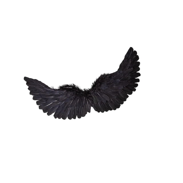 Qarigey Accesorios de plumas de ala de ángel para cosplay y fiestas, realistas y fáciles de usar, textura de alta gama, no tóxicos Disfraces de disfraces Negro Tamaño: 65 x 35 cm.