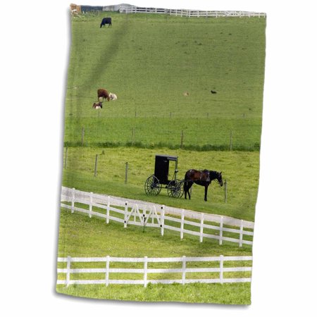 Amish farm with horse buggy near Berlin, Ohio - US36 DFR0008 - David R. Frazier 15x22 Hand Towel twl-93369-1