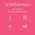 thumbnail image 4 of Scentsationals Wax Melts, Wax Cubes Strong Scent – Candy Collection Tropical Gummies – Long Lasting Scented Melts for Warmer, 10oz (24-Cubes), 4 of 5