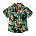 thumbnail image 1 of Odeerbi 6M-13Y Niños Camisa Hawaiana Verano Playa Camisas de Algodón Niños Blusa de Manga Corta Flor Tropical Camisa Estampada Ocio Tops, 1 of 9