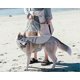 thumbnail image 2 of 26-27 Summer pet cooling and heat protection grey waistcoat, 2 of 5