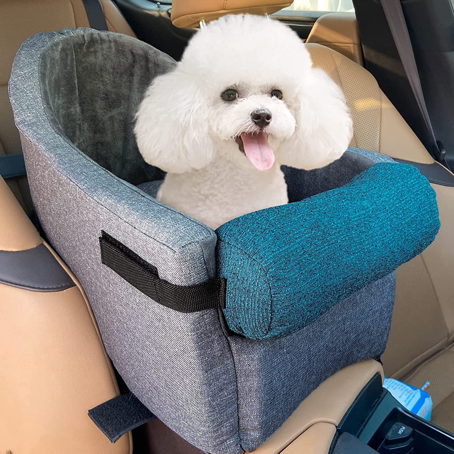 Where Should A Dog Sit In A Car