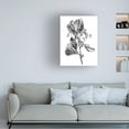 thumbnail image 3 of Emma Scarvey 'Hawthorn Berry Branch II' Canvas Art, 3 of 3