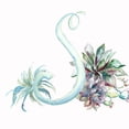 thumbnail image 3 of Tre Sorelle Studios 12x12 Black Modern Framed Museum Art Print Titled - Watercolor Succulent Monogram S, 3 of 5