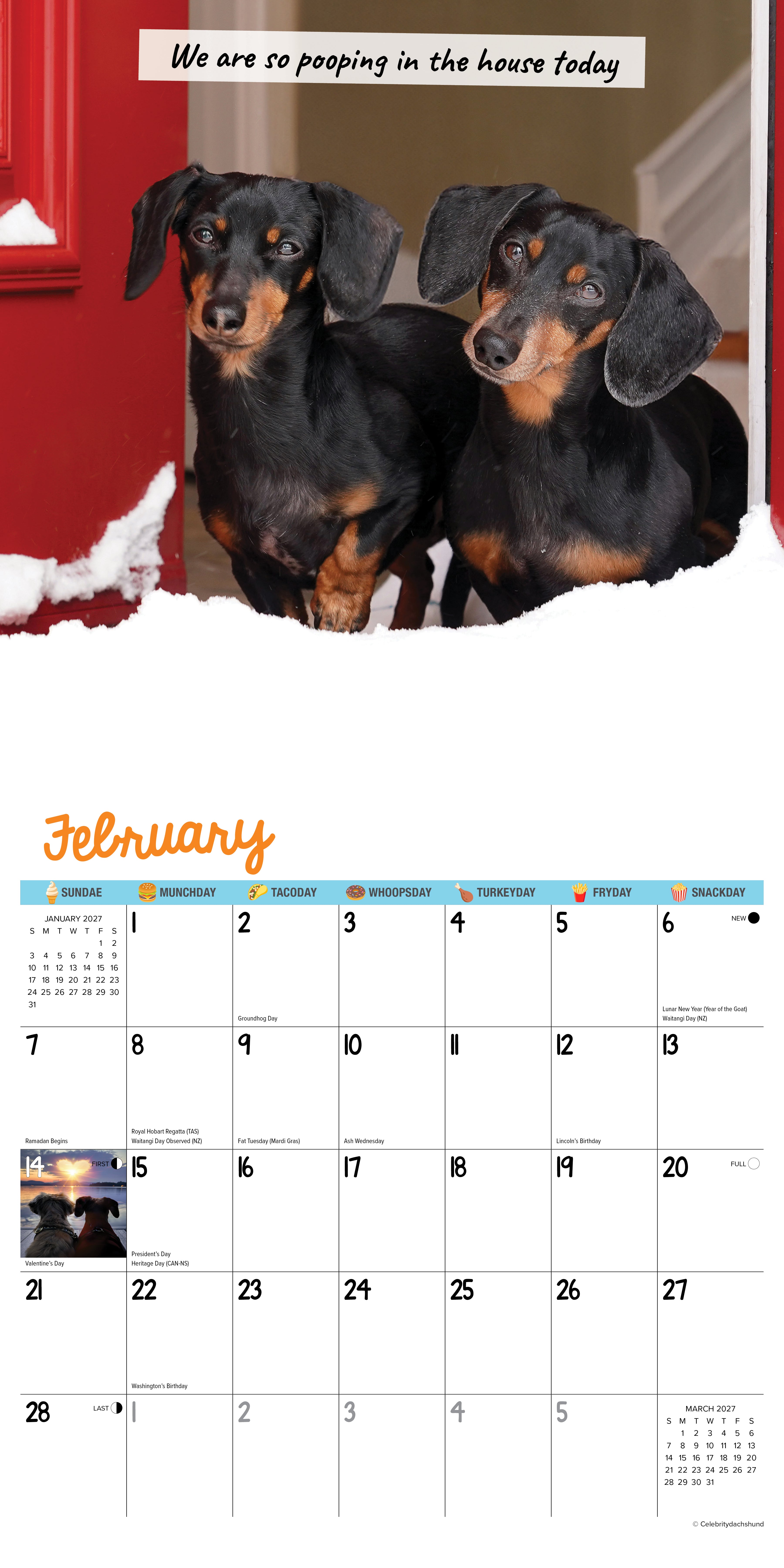 Willow Creek Press, Crusoe the Celebrity Dachshund 2027 Wall Calendar