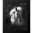 thumbnail image 2 of Drost, David 20x24 Black Modern Framed Museum Art Print Titled - Horse Portrait V, 2 of 5