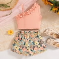 thumbnail image 5 of Gubotare Baby Girl Outfits Toddler Baby Girls Summer Clothes Smocked Short Sleeve T-Shirt Tops Ruffled Plaid Short Sets Cute Outfits 2Pcs 6 9 12 18 24 Months 2T 3T 4T 5T (Light Pink,5-6 Years), 5 of 9