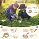 thumbnail image 1 of onlyliua Liquidación de Rebajas de Hoy Juego de Simulación Del Ciclo de Vida Del Crecimiento de La Serpiente, Juguetes Educativos para El Aula., 1 of 7