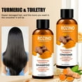 Turmeric Powder Shampoo 200ml Nourishes Scalp, Controls Oil and