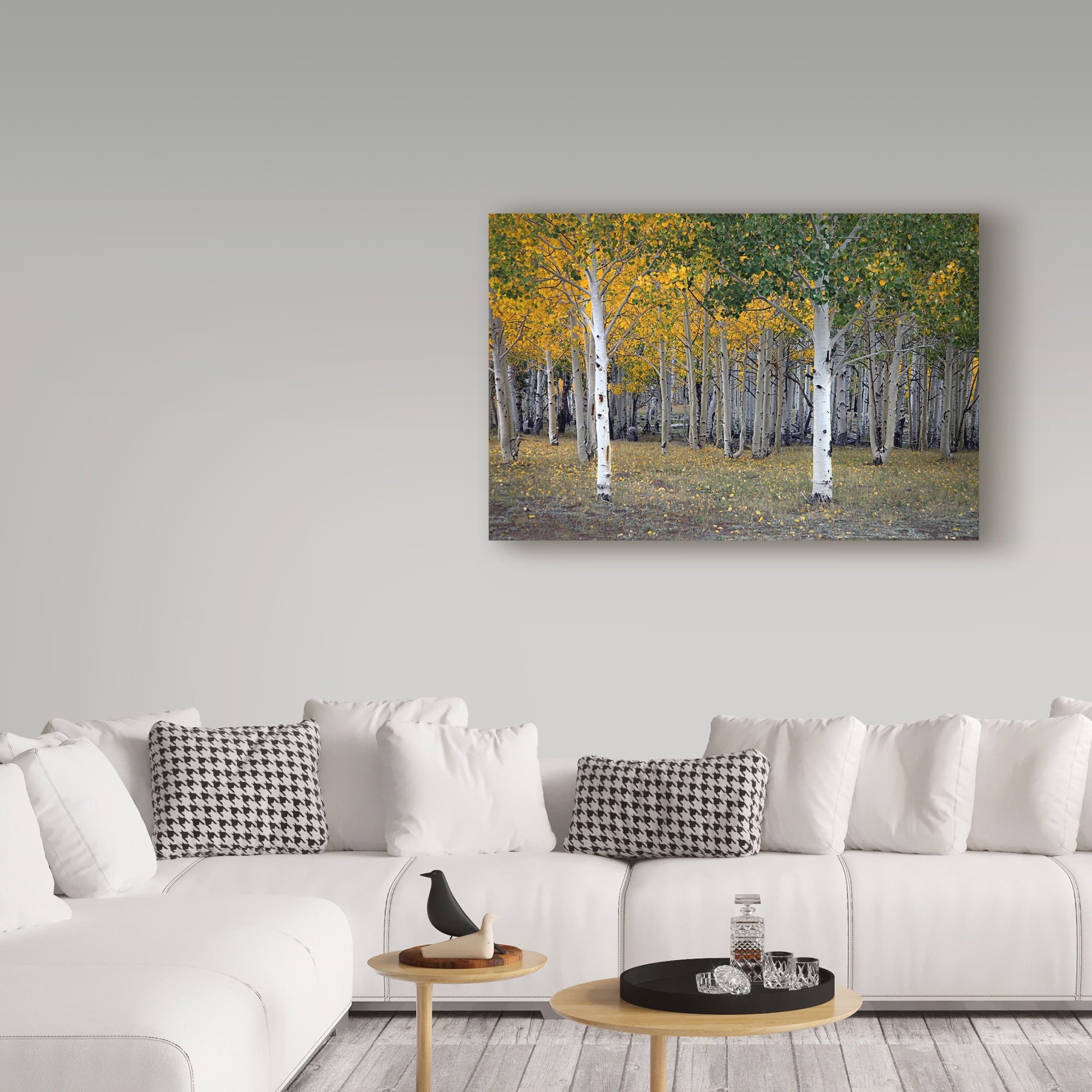 Trademark Fine Art 'Dixie Forest, Ut' Canvas Art by J.D. Mcfarlan