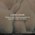 thumbnail image 6 of The Genius Brand Genius Lion's Mane - Plant-Based Supplement for Memory, Focus & Mood Support - Organic & Non-GMO - 120 Veggie Capsules, 6 of 9