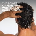 thumbnail image 3 of Native Moisturizing Men's Conditioner, Silicone and Sulfate Free, Sunset Cedar & Suede, 16.5 fl oz, 3 of 9