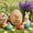 D, variant on Openable Wooden Easter Egg, Hanging Ornament with Speckled Design, 2.36 Inch Natural Wood Egg for Spring Party Home Decor, Easter Tree Decoration
