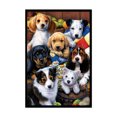 thumbnail image 2 of Bordado completo 11CT 3 hebras Grupo contado de cachorros Punto de cruz (SZX37-2) Sywqhk Decoración hogareña, 2 of 8
