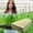 A, variant on VVQ Hydroponic Wool Plug Block for Soilless Cultivation 4cm, Rockwool Starting Plugs with High Water Absorption Breathability, Hydroponic Growing Blocks 100pcs