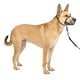 thumbnail image 1 of Collar para perro PetSafe Gentle Leader No-Pull Mediano Negro, 1 of 6