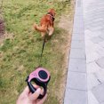 thumbnail image 3 of Autorización：Correa de perro retráctil para correa de caminar con mango antideslizante, pausa y bloqueo de cinta de nailon fuerte, correa de perro de tienda retráctil Adepaton 2034520-3, 3 of 9