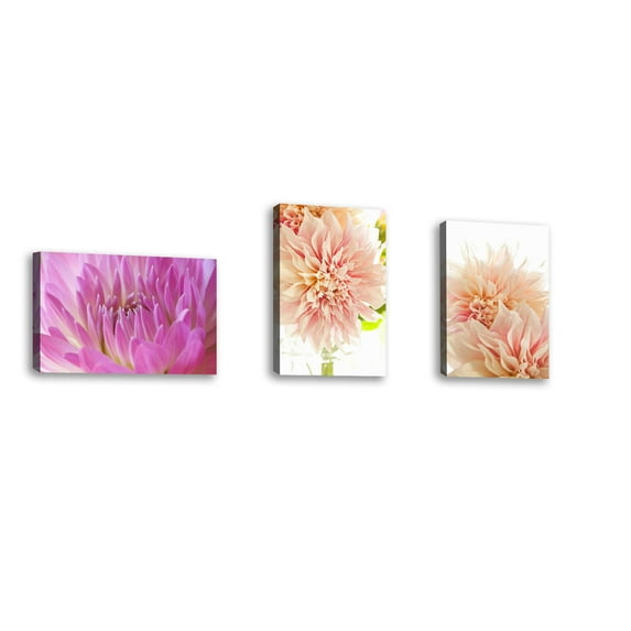 Set of 3 - Pink Dahlia II - Contemporary Fine Art Giclee on Canvas Gallery Wrap - wall décor - Art painting - 12 x 18 Inch - Ready to Hang