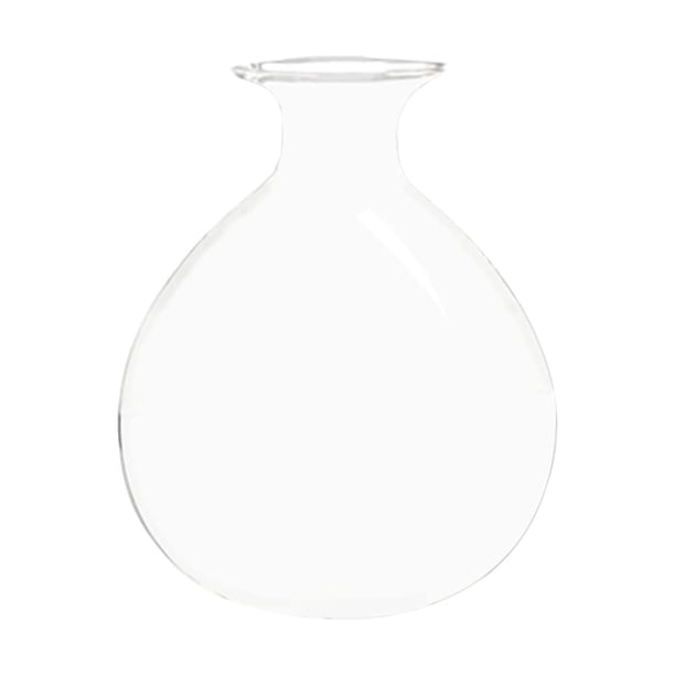 Florero de semillas de aguacate para germinar, regalo para el Día de la Madre, maceta decorativa Estilo C