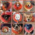 thumbnail image 2 of Dog Inflatable Collar Washable Cute Donut Design Protective Recovery Collar For Dog Adjustable Pet Recovery Cone After Surgery, 2 of 4