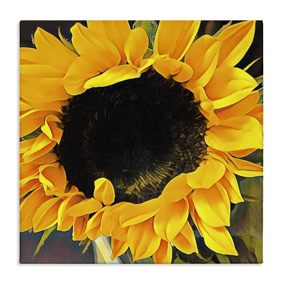 Stupell Industries Contemporary Vivid Yellow Sunflower Canvas Art, 24 x 24, by Jessica Manelis