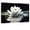 Lotus Canvas Wall Art-5, variant on ZHONGYUTONG Lotus Canvas Wall Art White Flower Blooming Picture Print Zen Spa Painting (12"x18")