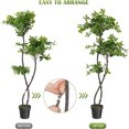 thumbnail image 4 of Studyset Artificial Plants Indoor, 5FT Fake Black Olive Tree with 50 LED Lights Tall Fake Plants in Plastic Nursery Pot Fake Tree Artificial Trees for Home Dr Office Living Room, 4 of 6