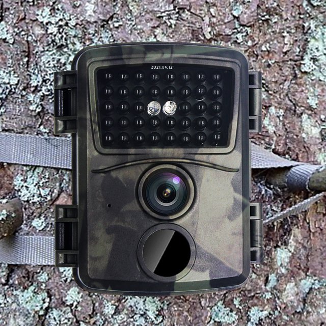 Cámara de rastro al aire libre Detector de vida silvestre de movimiento de visión nocturna infrarroja a prueba de intemperie