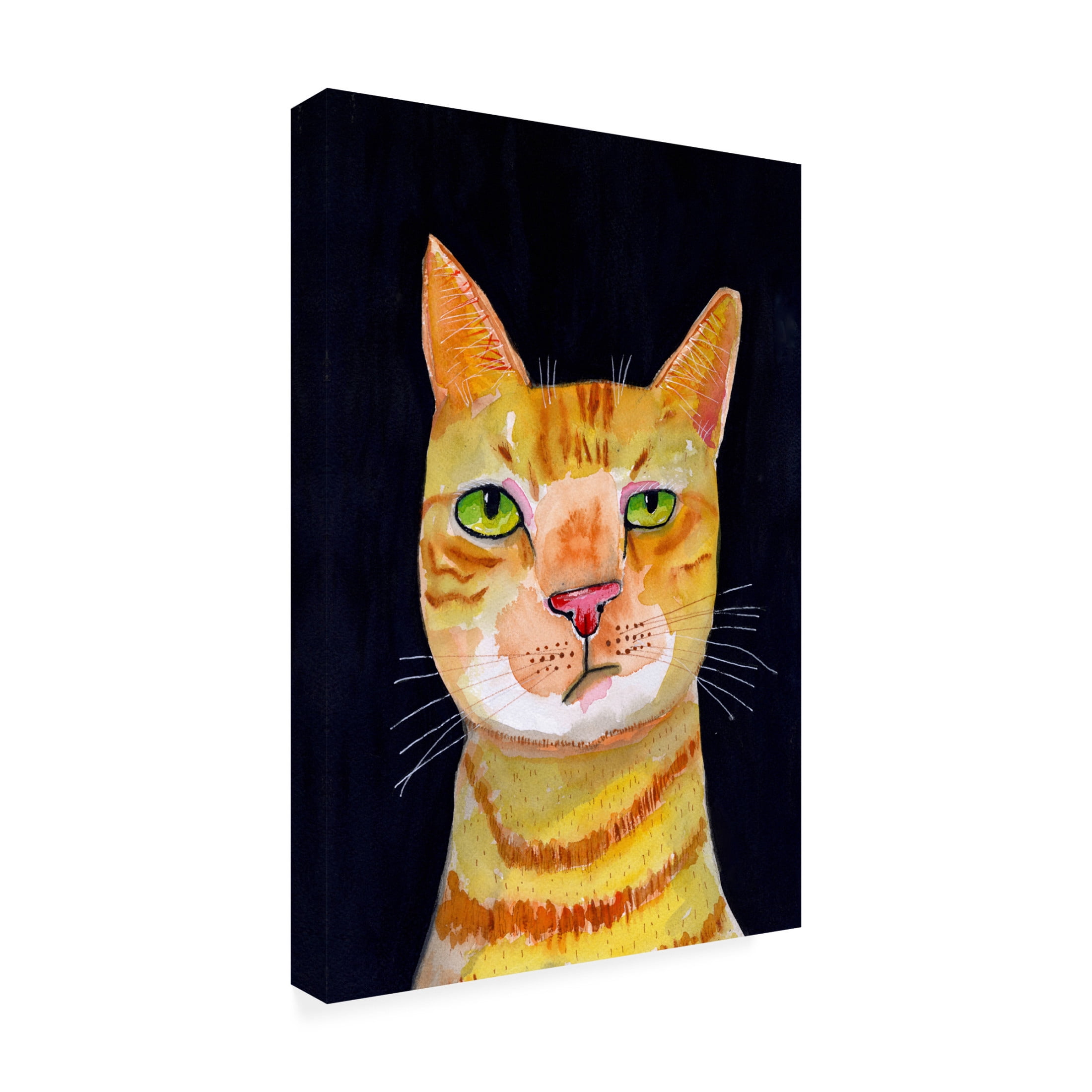 Trademark Fine Art Sharyn Bursic Ginger Cat Canvas Wall Art
