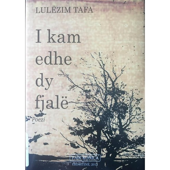 I Kam Edhe Dy Fjalë (Paperback)