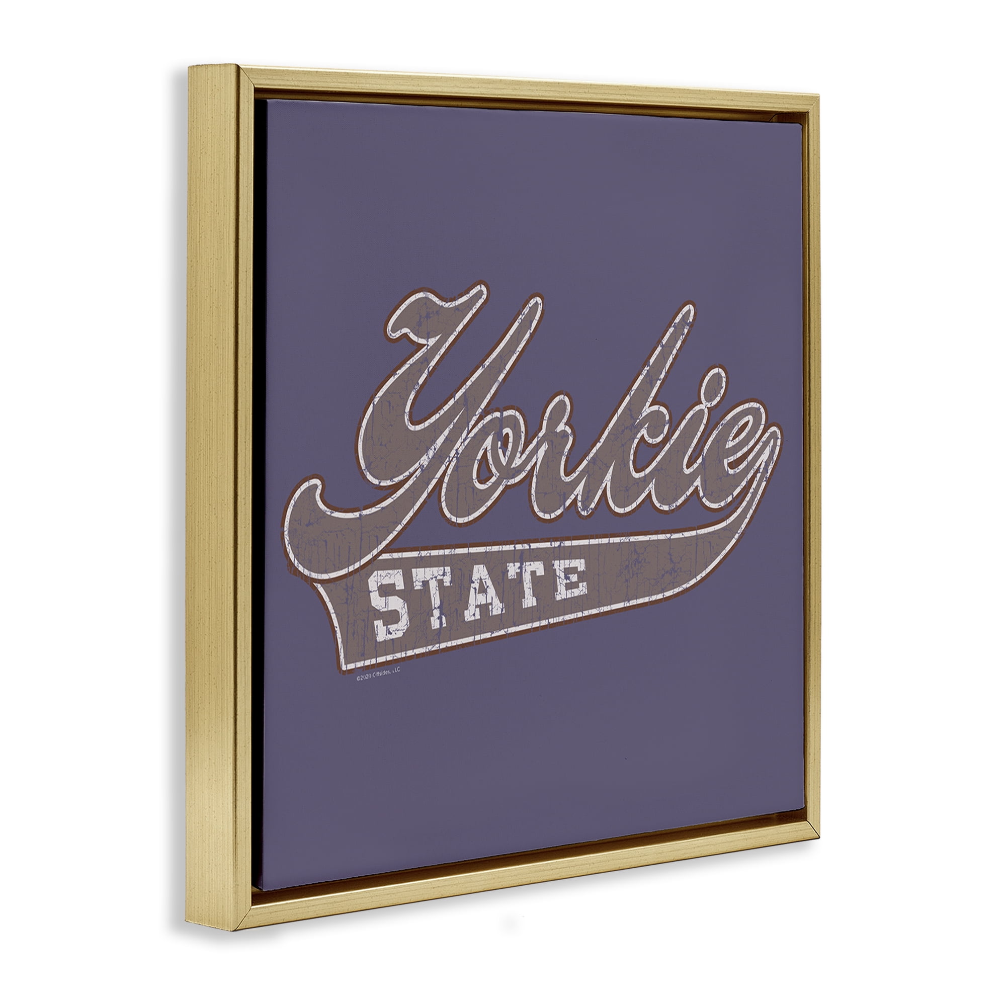 Stupell Industries Vintage College Yorkie State Novelty & Humor Painting Gold Floater Framed Canvas Art Print Wall Art, 18 x 18