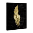thumbnail image 2 of Stupell Industries Contemporary Feather On Black Canvas Art, 16 x 20, by Kim Allen, 2 of 8