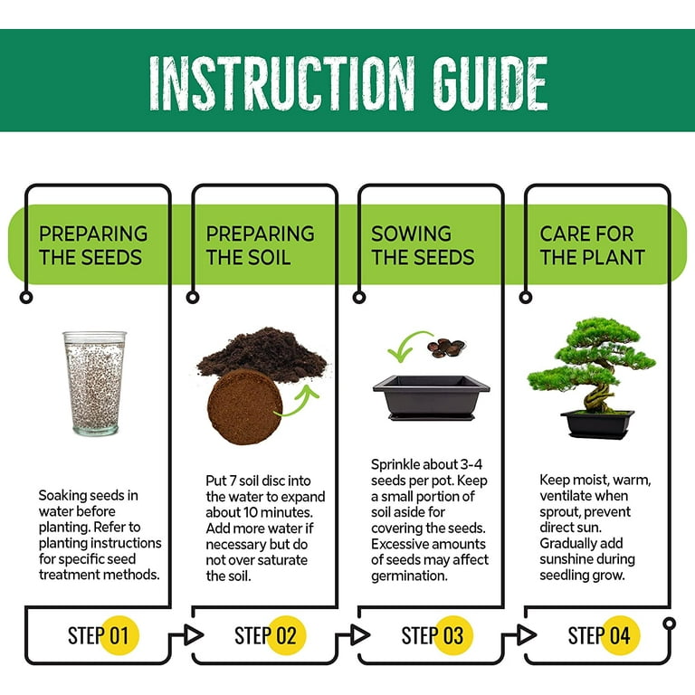 REALPETALED Bonsai Starter Kit  Japanese Bonsai Tree Kit with Bonsai  Tools, 7 Bonsai Tree Seeds, Pots  Complete Grow Your Own Bonsai Tree Live  Kit  Plant Lover Gifts Home Gifts