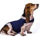 thumbnail image 3 of Chaqueta clásica para perros con ansiedad, antiestrés y alivio del estrés, abrigo calmante para perros pequeños, medianos y grandes Adepaton CDWJ010, 3 of 3