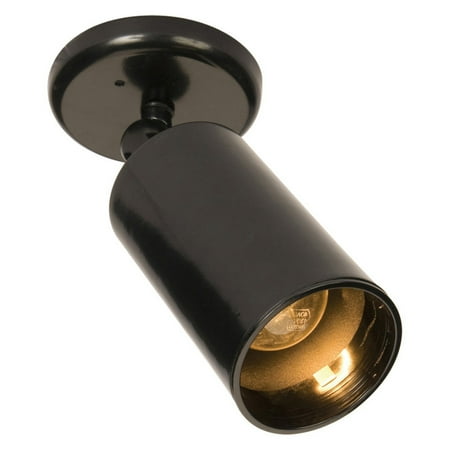 Contemporary Indoor Spotlight - Maxim Outdoor Directional Flood Light - Single Light
