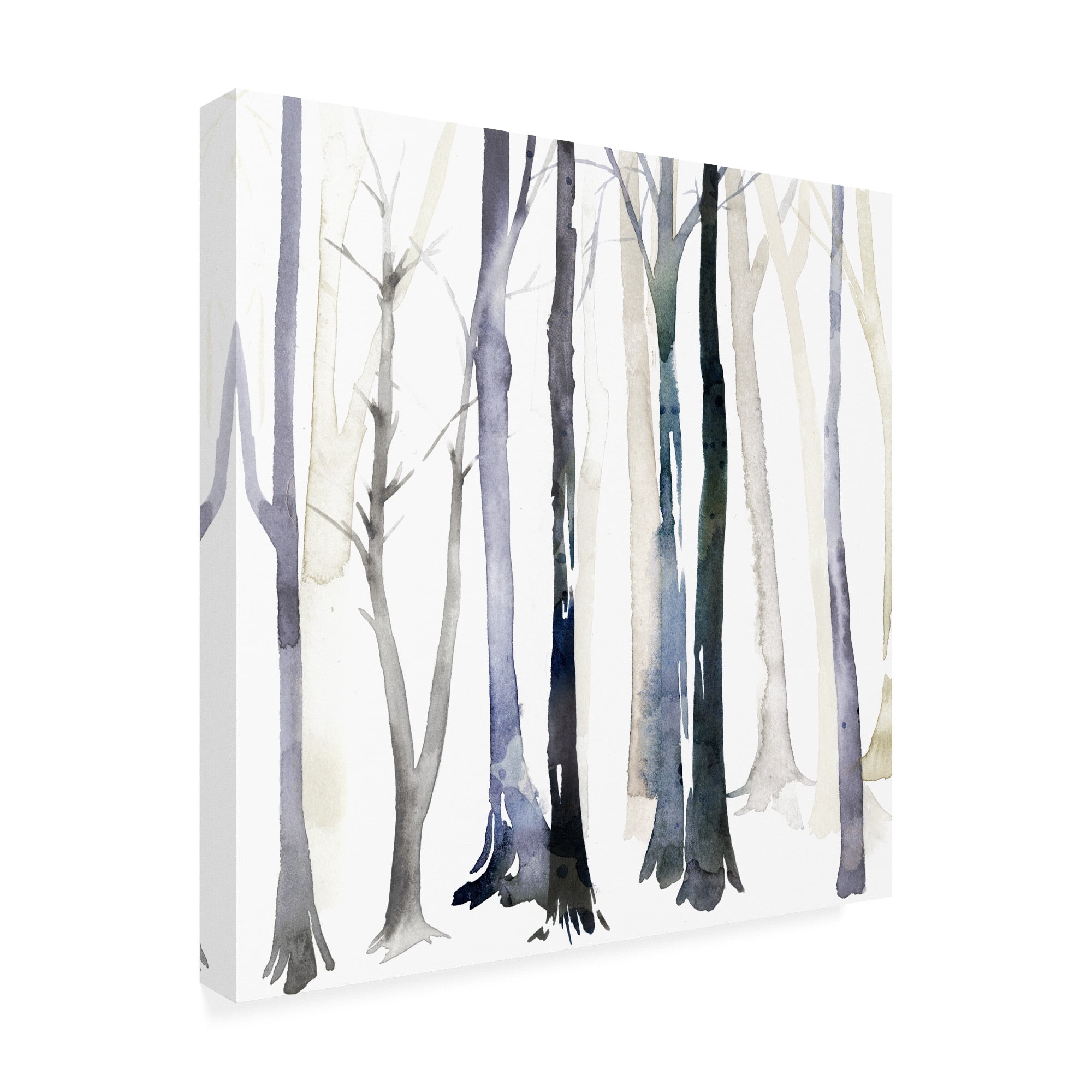 Trademark Fine Art 'In the Forest Trees II' Canvas Art by Grace Popp