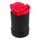 thumbnail image 1 of Rosa roja nuevo embalaje Mini cubo de abrazo Cubo de flores preservadas caja redonda de arreglo de flores preservadas de una sola rosa caja de regalo redonda ANGGREK Otros, 1 of 8