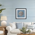 thumbnail image 2 of Stupell Industries Soft Sea Clam Shell Black Framed Print Under Glass design by Julia Purinton, 16 x 16, 2 of 10