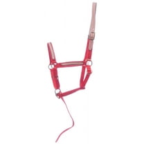 Tough 1 Miniature Nylon Break-Away Halter, Red, Large
