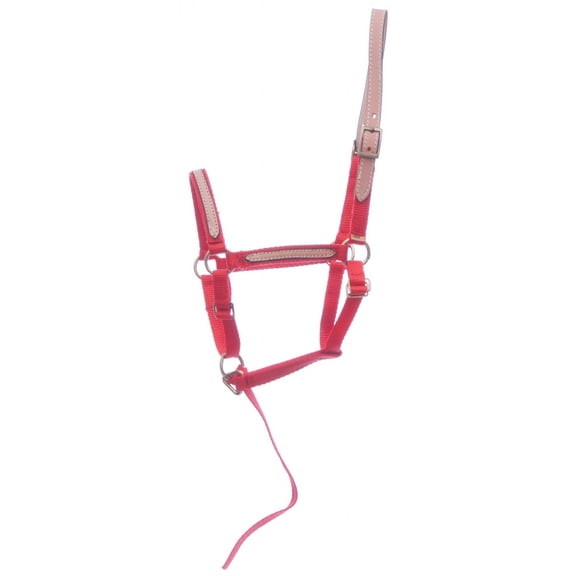 Tough 1 Miniature Nylon Break-Away Halter, Red, Large