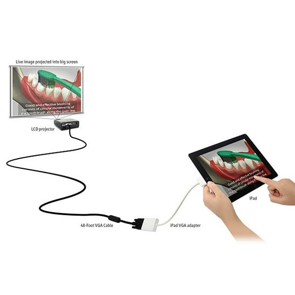 Ipevo Câble VGA de 48 Pieds pour Caméra de Documents HD VGA/USB VZ-1 Numéro de Modèle : 5-138-2-8005