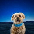 thumbnail image 6 of Nite Ize NiteDog Rechargeable LED Collar, Blue/Blue, Small, 6 of 8